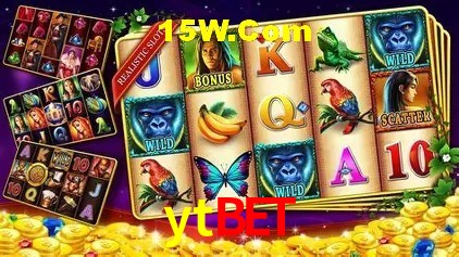 ytbet Brasília - Leaderboards